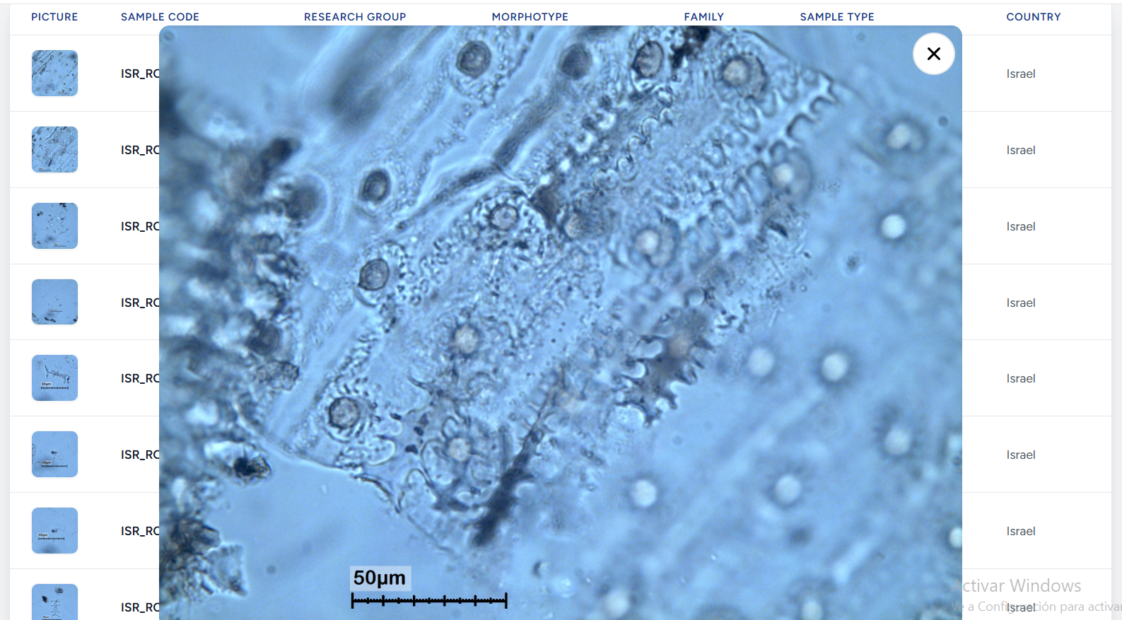 Phytcore DB desktop view