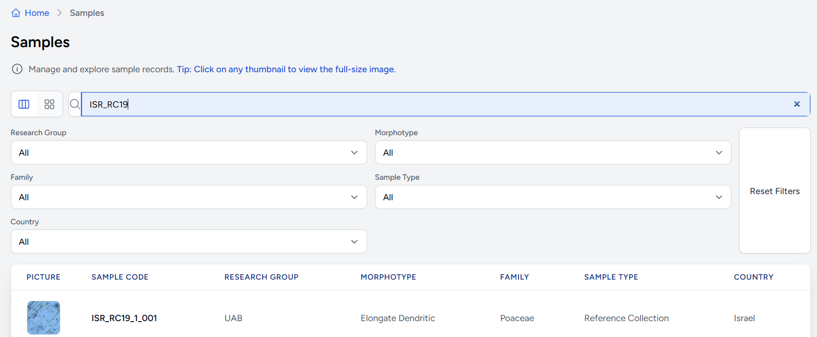 Phytcore DB filters demo